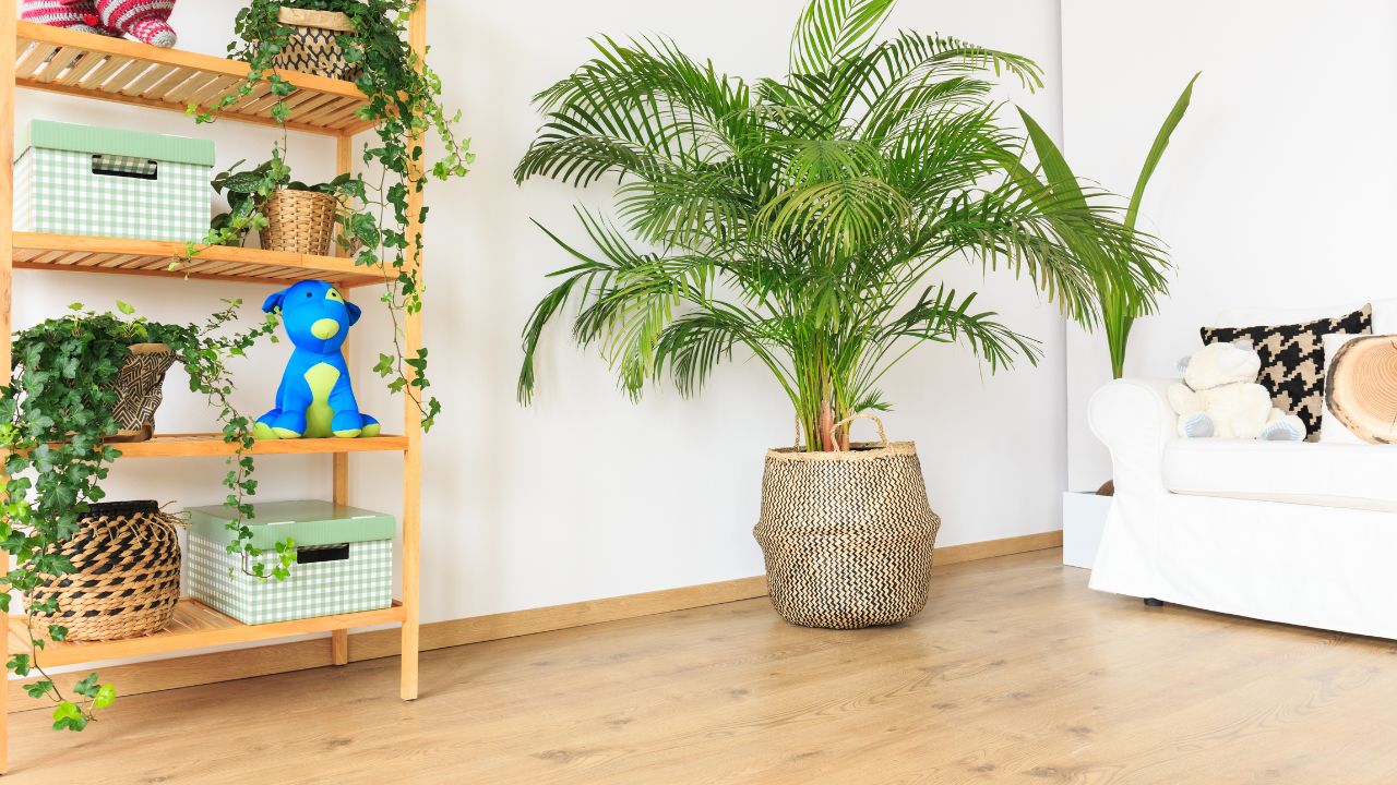 Add Greenery to Shelves and Bookcases