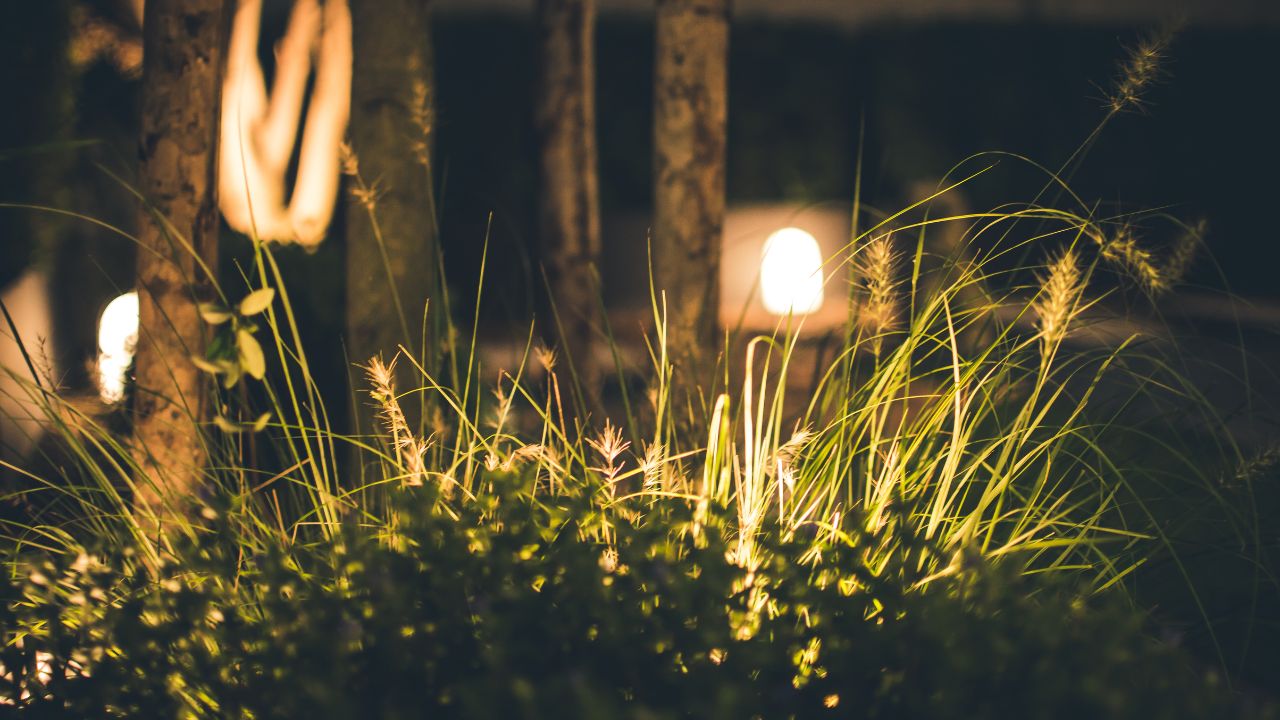 Use Smart Lighting for Evening Ambiance
